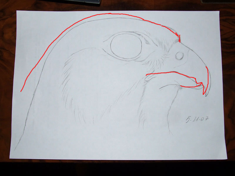 Disegnare gli uccelli - Prima lezione